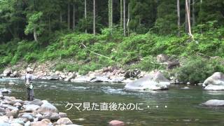 石徹白川でのテンカラ釣り クマも出たよ Tenkara on Itoshiro riv.