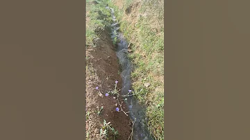 وه چه زیباست ترانه ای بخونی و آهنگش صدای پای آب باشه 