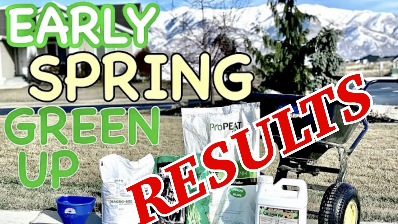 Spring Fertilizer Results | Early Green Lawn Domination Results - YouTube