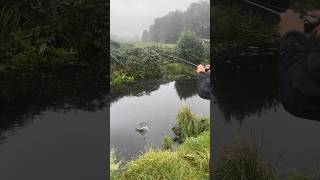 So Schnell Hast Du Noch Nie Nen Barsch Gefangen