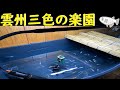 雲州三色メダカの楽園を作りたい！ 人生で1番でかい衣装ケースで製作！ 【メダカ観察日記】