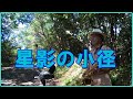 テナーサックスで唄う「星影の小径」 #懐かしいメロディ  #昭和歌謡 #小畑実
