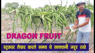 Dragon Fruit स्ट्रक्चर तैयार करते समय ये बाते जरूर ध्यान रखे ।  9106310963 । Anil Chopda