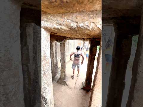 pachali gufa #shortsfeed #shortvideo #minivlog #viralvideo
