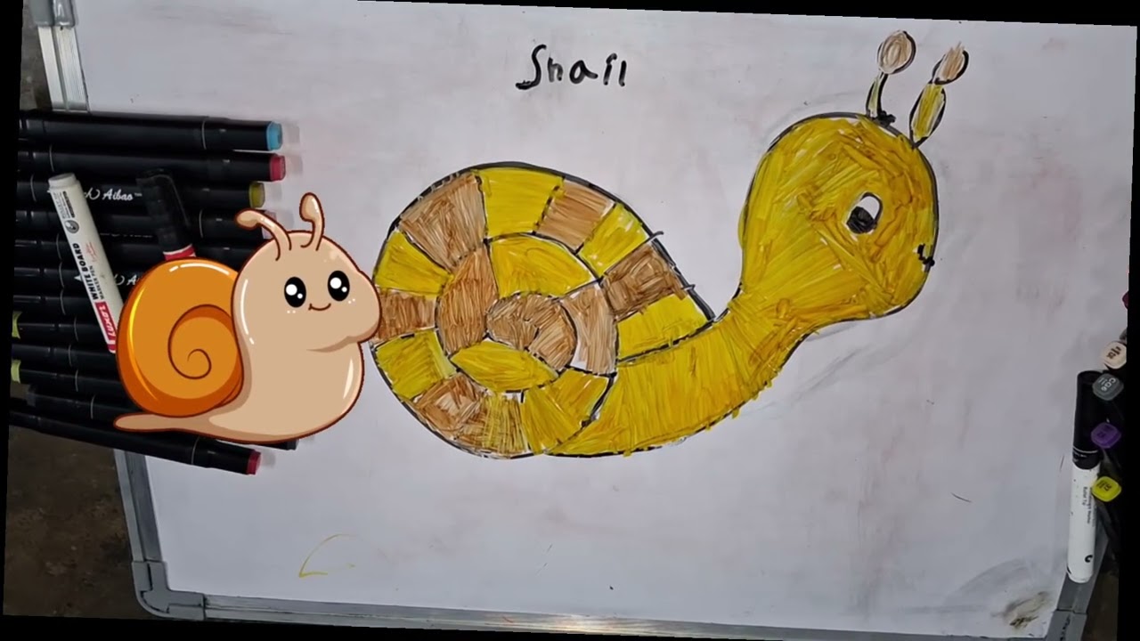 How to draw snail 