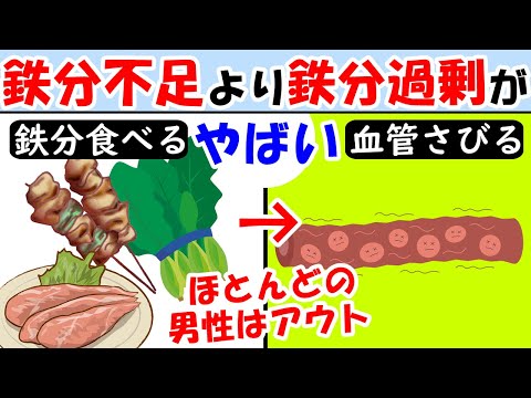 細胞や血管が錆びまくる鉄分の摂り過ぎがやばい！寝ても眠い人や疲れが取れない人も見て【老化現象｜倦怠感｜老け顔】