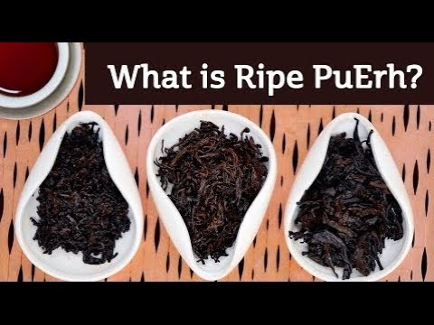 Pu erh Tea  Benefits, Dosage, Side Effects, and More