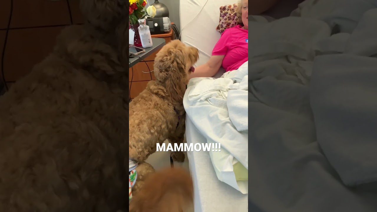 Taking Millie to the Nursing home! 