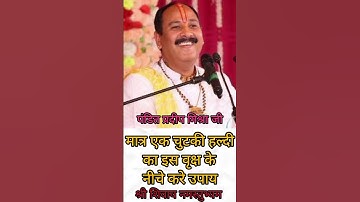 मात्र एक चुटकी हल्दी का इस वृक्ष के नीचे उपाय #shorts #ytshorts #pradeepmishra #upay