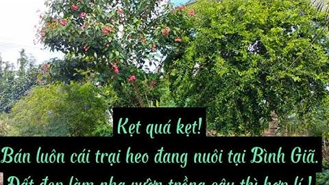 Kẹt quá hạ giá bán luôn ! 2 sào đất vườn có trại heo đường nhựa khu dân cư tại Xã Bình Giã giá rẻ..