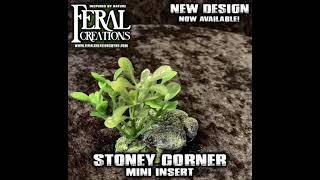Stoney Corner Mini Insert