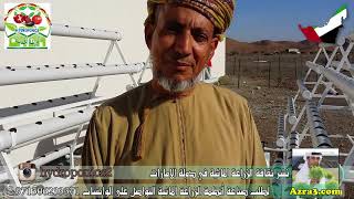 نشر ثقافة الزراعة المائية في سلطنة عمان سيف علي الشامسي