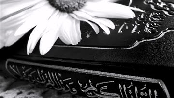 سورة الأعراف القارئ هاني الرفاعي