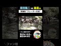 【宮城県秘湯旅】ご堪能！アツアツ源泉も入れば天国！【クレーターの湯】