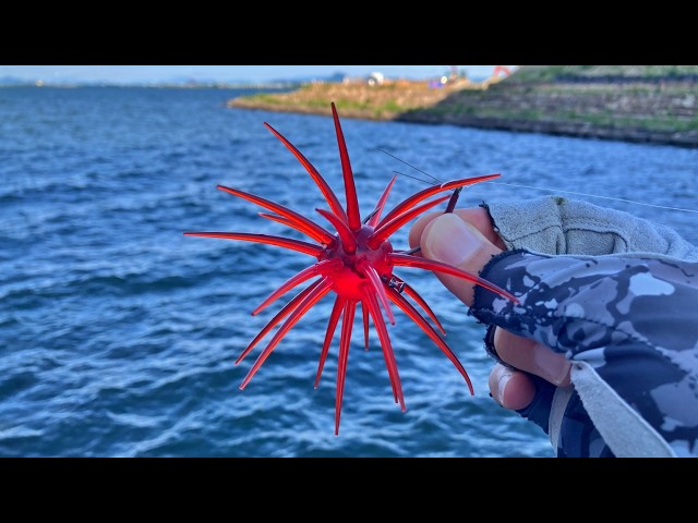 Bass fishing] Using this, I was able to catch a lot of big bass