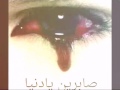 الصقر الحزين