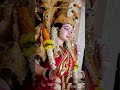 maa hi mandir maa hi pooja#durga #maa #maadurga #trending #kali #maasherawali #maashakti