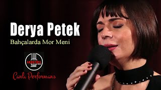 Derya Petek - Bahçalarda Mor Meni (Canlı Performans) Akustika Sahne Resimi