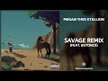 Megan Thee Stallion - Savage Remix (feat. Beyoncé) (432Hz)