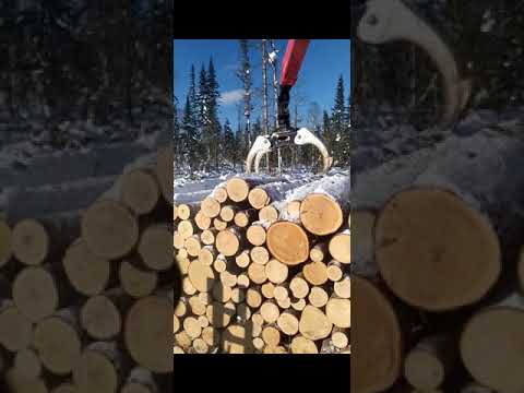 погрузка сортимента 6м