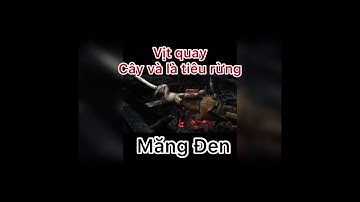 Vịt quay cây và lá tiêu rừng Măng Đen