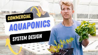 Sustainable Farming and Commercial Aquaponics Systems