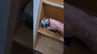 Alte Farbschichten mühelos abtragen Holzprofi