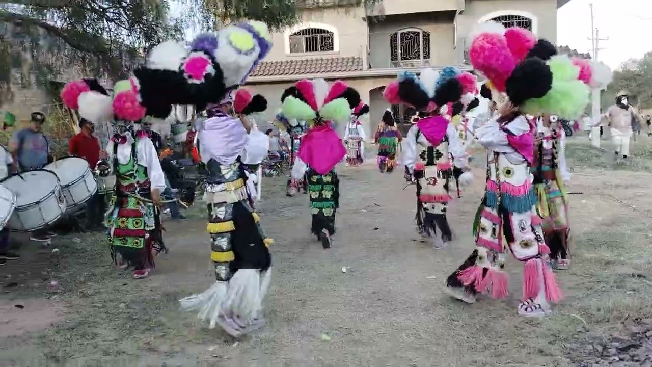 Danza las pollas en Aguagorda Zac. San Juditas Marco Antonio Llamas 🔥