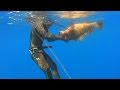 Spearfishing Sea thoughts - Ψαροντούφεκο Θαλασσινές σκέψεις