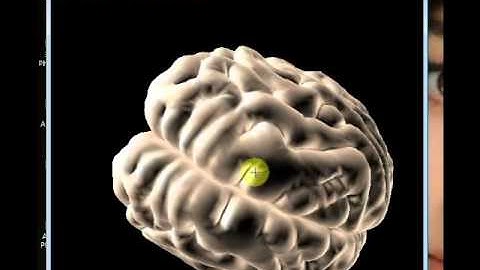 ARTOOLKIT ++ VRML VIEWER