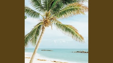 Pulsating Ambience for Resting