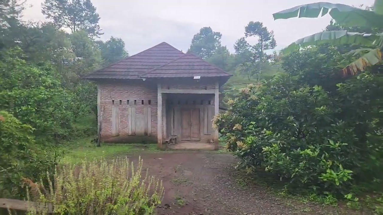 Pagi di banturejo, sambirejo, kecamatan wonosalam- jombang
