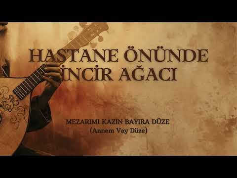 Hastane Önünde İncir Ağacı