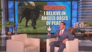 Digital Exclusive John Cena And Twitch Play marijuana Strain Or Show Dog