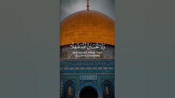 اية من سورة ابراهيم || المنشد والقارئ بشار سراج