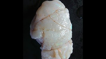 Opal Shell fossil Australian Coober Pedy - 18 CT