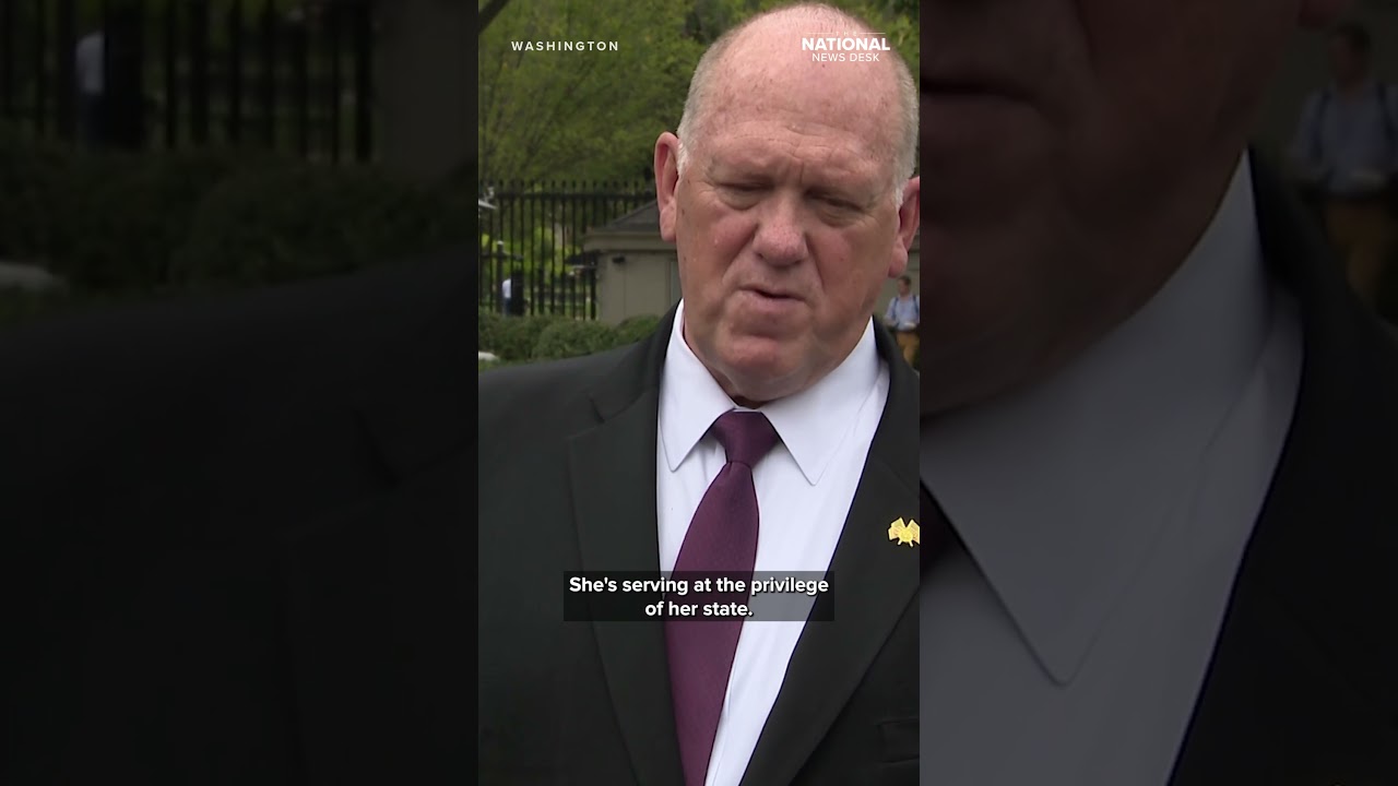 Border Czar Tom Homan on Delia Ramirez's comments about Guatemalan heritage