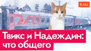 Кот Твикс И Кандидат Надеждин | Что Общего (English Subtitles) @Max_Katz