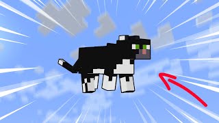 how far can a cat fall and survive? 🤨 #shorts