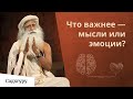 Как мысли управляют чувствами?