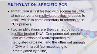 BIO203 Topic023