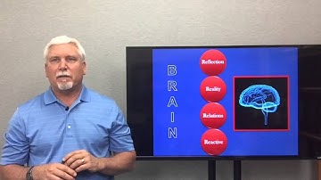 4 Levels To A Better Brain, Dr. Robert Graykowski,