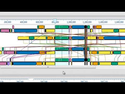 DNASTAR - Aligning Genomes Using Mauve