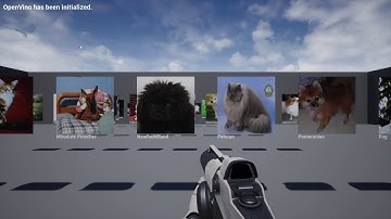 Unreal Engine 4 OpenVINO Classification Demo