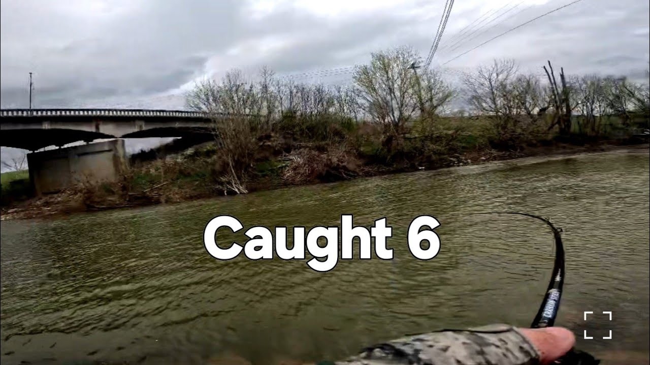 Bass Fishing Local Creek!!