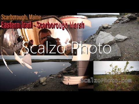 Eastern Trail - Scarborough Marsh - MAINE - CANON 5D iv (EF 17-40mm f/4L Lens) Insta360 One R 4K