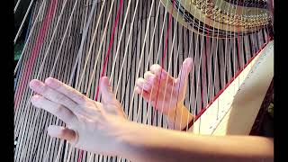 Amazing Grace Harp Demonstration 奇異恩典 豎琴示範