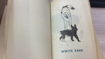 Today we are reading Jack London’s novel «White Fang»