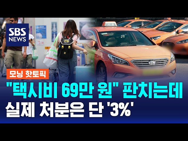 "택시비 69만 원" 신고 '6천 건' 넘는데..처분은 단 '3%' / 모닝 핫토픽 / SBS 모닝와이드