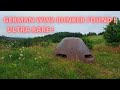 Panzer turret bunker found. Lost for 75 years !